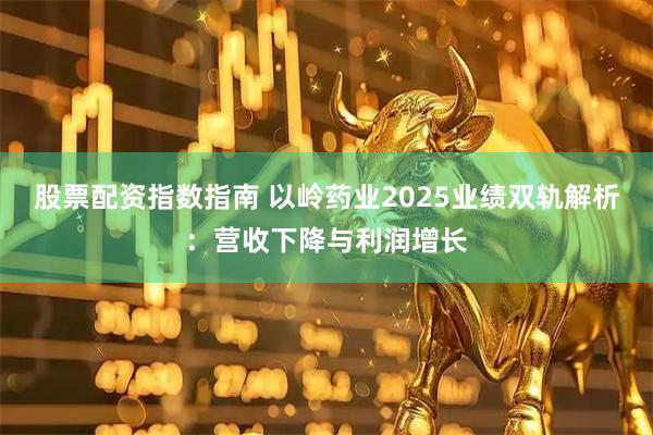 股票配资指数指南 以岭药业2025业绩双轨解析:营收下降与利润增长