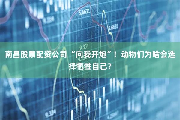 南昌股票配资公司 “向我开炮”！动物们为啥会选择牺牲自己？