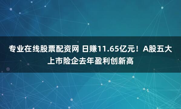 专业在线股票配资网 日赚11.65亿元！A股五大上市险企去年盈利创新高